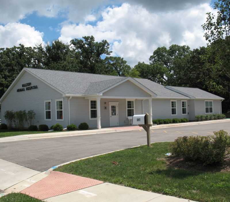 hilltop-animal-hosp-15